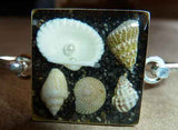Bracelet w/ sea shells
